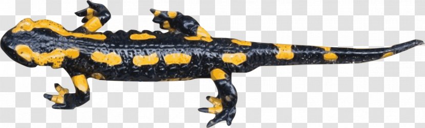 Fire Salamander Newt Openclipart Clip Art - Amphibian Transparent PNG