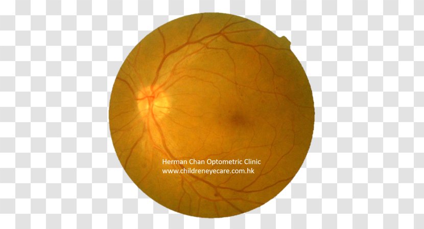Sphere - Eye Care Transparent PNG