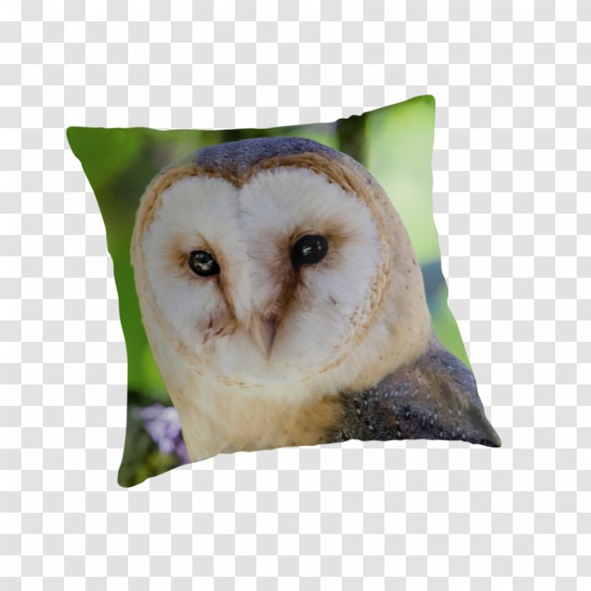 Owl Throw Pillows Cushion Beak - Barn Transparent PNG