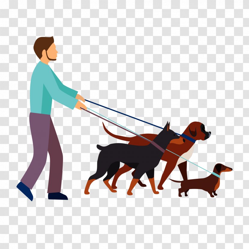 Puppy Dog Breed Leash Vector Graphics - Canis Familiaris Transparent PNG