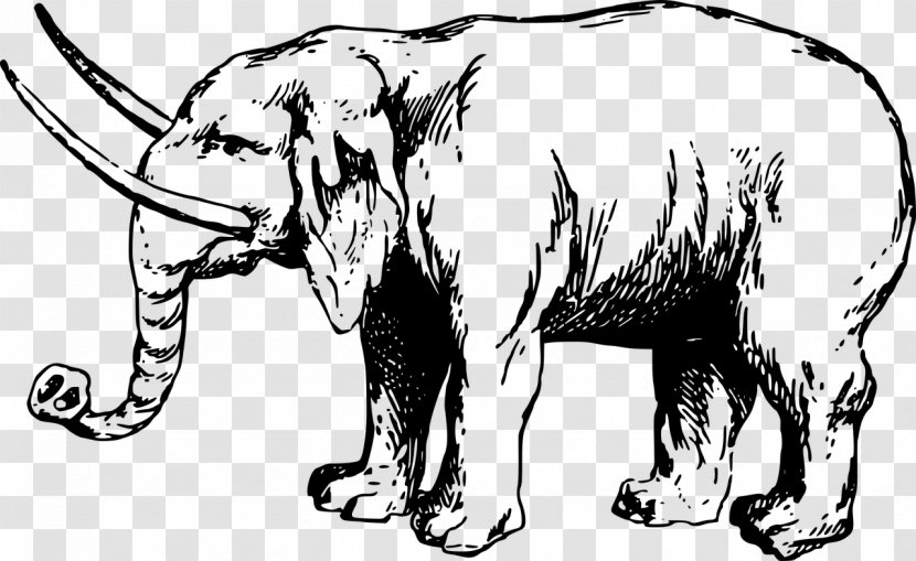 Indian Elephant African Elephantidae Drawing Clip Art - Mammal - Africa Transparent PNG