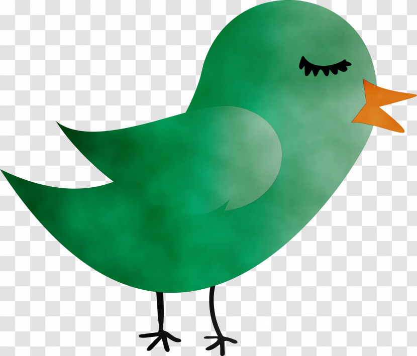 Green Bird Beak Transparent PNG