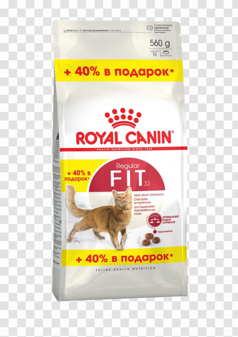 Cat Food Dog Persian Kitten Puppy Transparent PNG