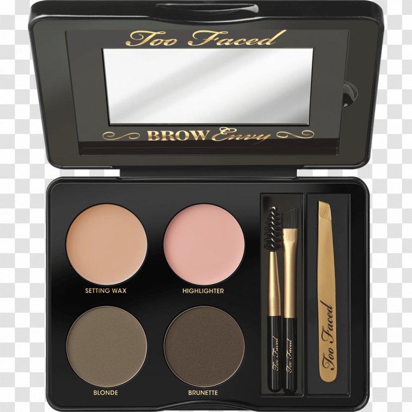 Eyebrow Cosmetics Too Faced Lip Injection Extreme - Eye Shadow - Master Transparent PNG