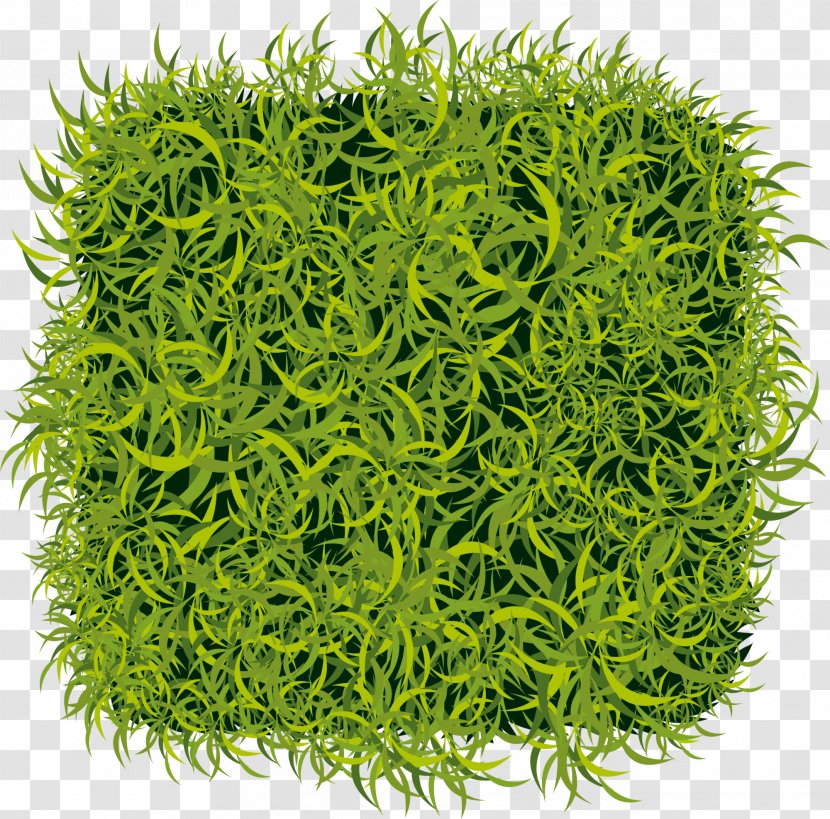 Artificial Turf Lawn Wall Green - Fresh Grass Transparent PNG