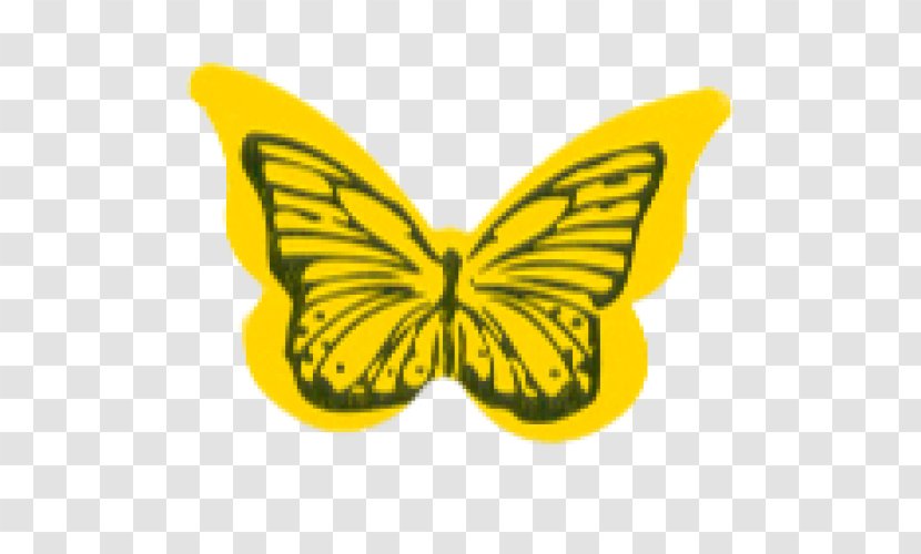 Sun Tanning Monarch Butterfly Sticker Tattoo Indoor - Yellow Sunscreen Transparent PNG