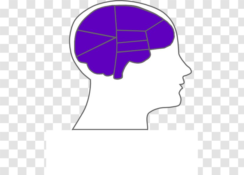 Outline Of The Human Brain Clip Art - Tree - Cartoon Transparent PNG