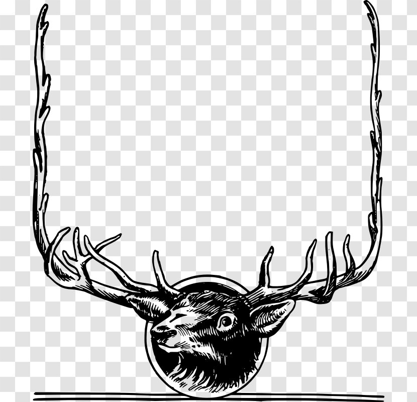 White-tailed Deer Clip Art Vector Graphics Elk - Whitetailed Transparent PNG