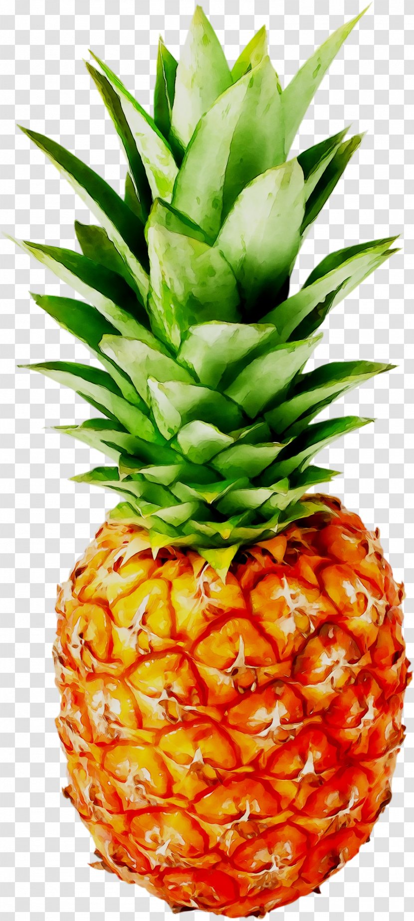 Pineapple Food Gift Gratis Art - Superfood Transparent PNG