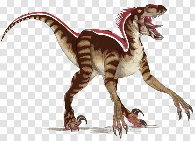 Flaming Cliffs Velociraptor Spinosaurus Tyrannosaurus Dinosaur - Vector Dinosaurs Transparent PNG