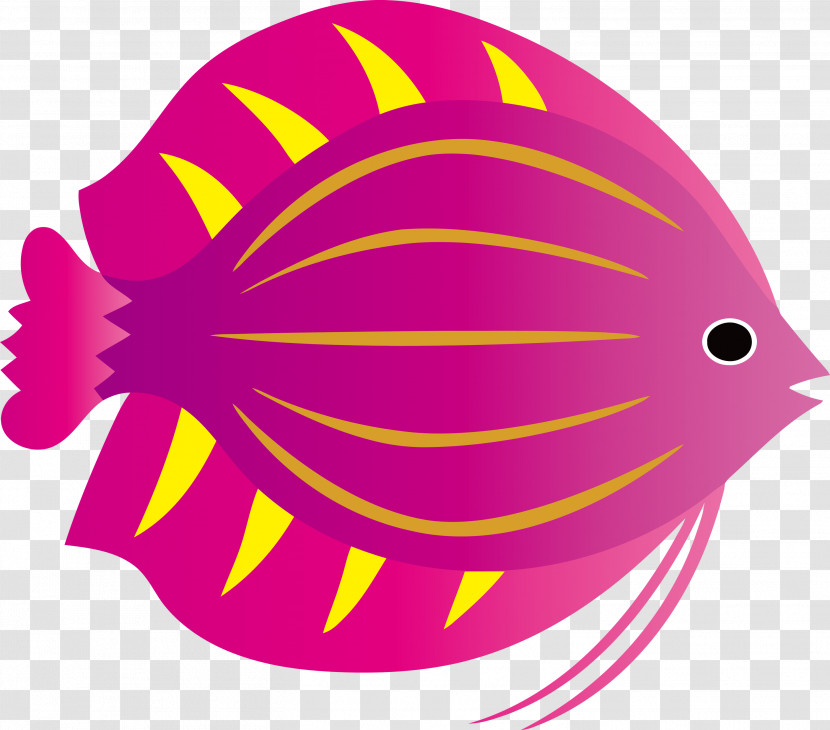 Line Fish Beak Geometry Biology Transparent PNG