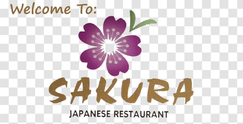 Japanese Cuisine Sakura Restaurant Food Samurai - Brand - Japan Transparent PNG