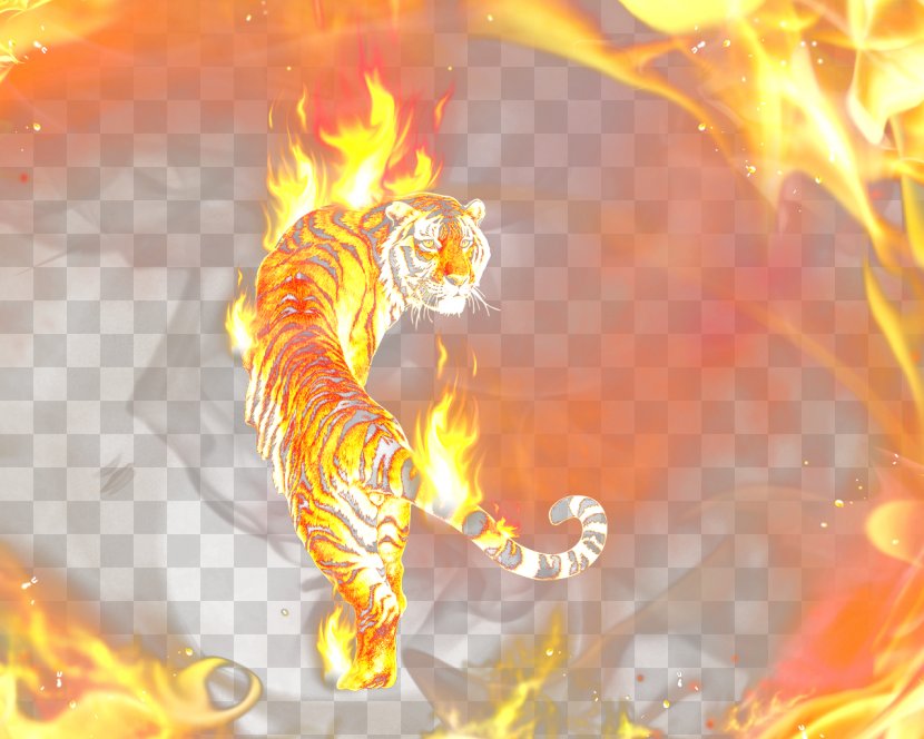 Tiger Round Fire Desktop Metaphor Wallpaper - Watercolor Transparent PNG