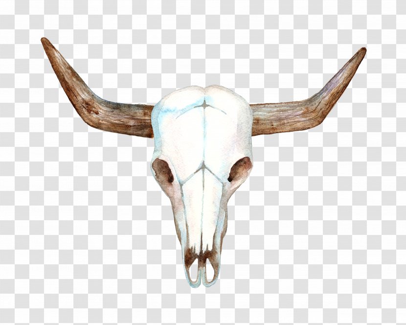 Texas Longhorn Cows Skull: Red, White, And Blue Bull - Painting - Hand-painted Sheep Skull Transparent PNG