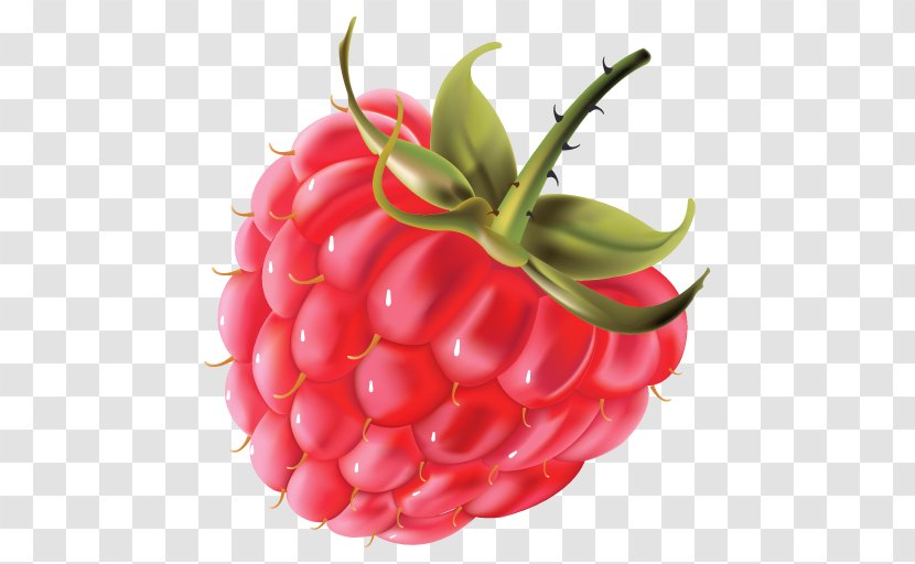 Red Raspberry Tomato Jam Food - Frutti Di Bosco - Fruit Transparent PNG
