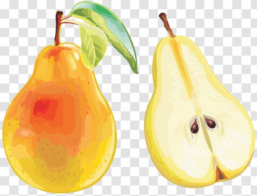 Accessory Fruit Pear Food - Diet Transparent PNG