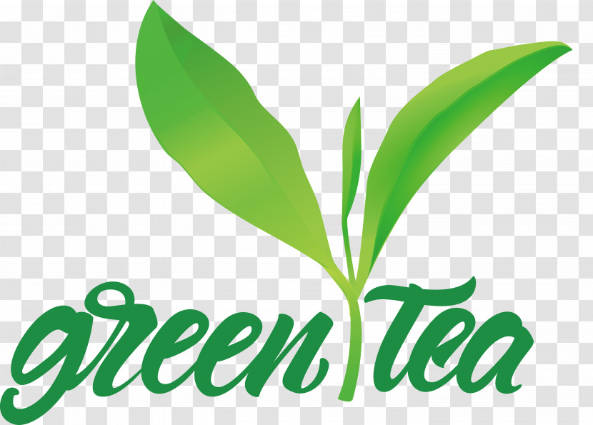 Leaf Plant Stem Logo Font Herbal Medicine Transparent PNG