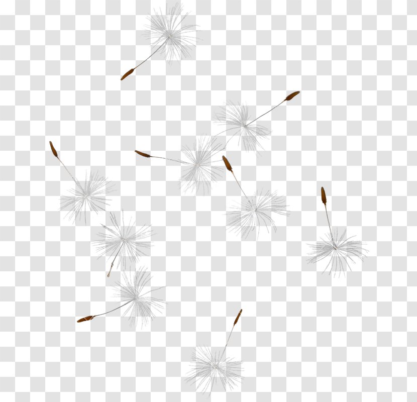 Insect Desktop Wallpaper Pattern Font Computer - Closeup - Dandelion Transparent Transparent PNG