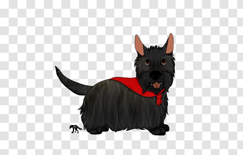 Scottish Terrier Cairn Dog Breed Rat - Razas Nativas Vulnerables Transparent PNG