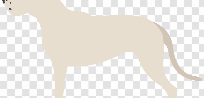 Dog Breed Italian Greyhound Whippet Non-sporting Group - Dogo Argentino Transparent PNG
