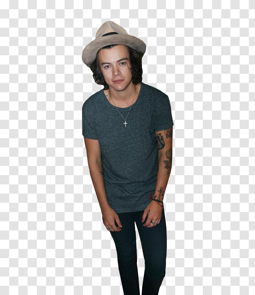 Harry Styles One Direction Potter The X Factor Four - Cartoon Transparent PNG