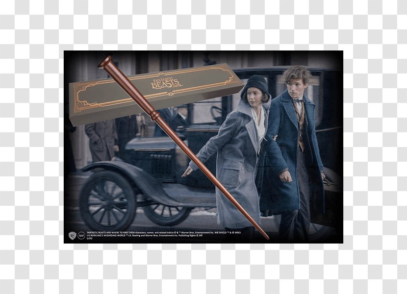Newt Scamander Fantastic Beasts And Where To Find Them Film Series Fictional Universe Of Harry Potter - Motor Vehicle Transparent PNG