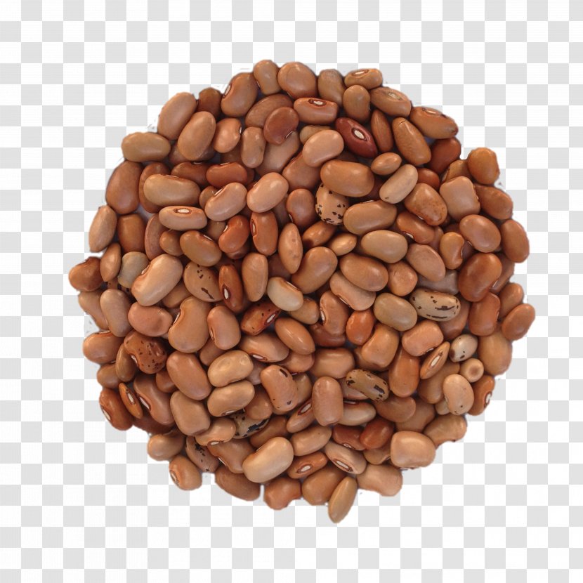 Pea Nut Legumes Bean Seed Transparent PNG