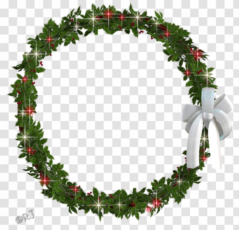 Holly Christmas Decoration Evergreen Fir - Pinaceae - White Wreath Transparent PNG