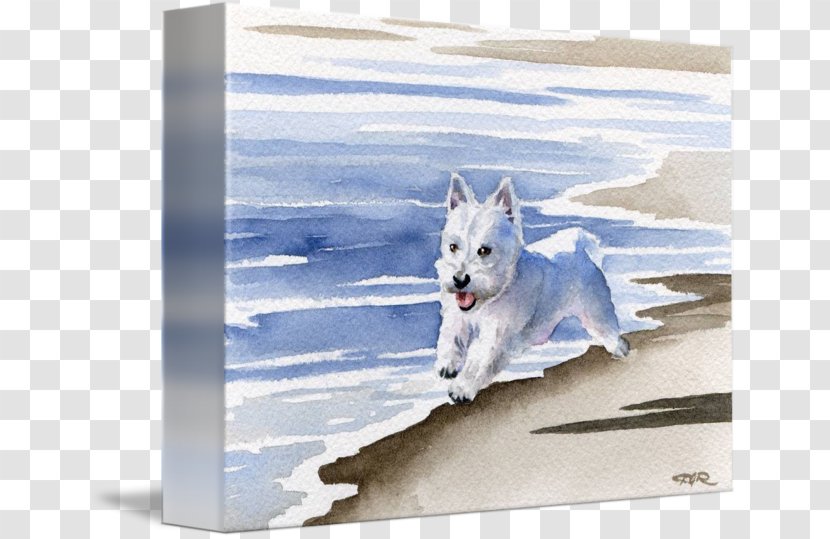 West Highland White Terrier Dog Breed Painting Picture Frames Transparent PNG