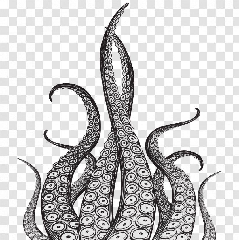 Kraken Octopus Squid Drawing Tentacle - Decal - Octopus-cartoon Transparent PNG