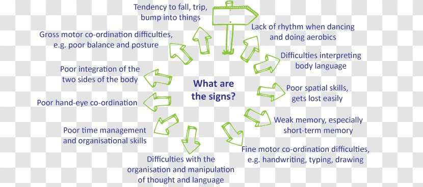 Document Organism Line Special Olympics Area M - Speech Disorder Brain Transparent PNG