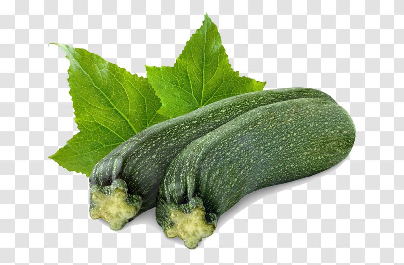 Zucchini Stock Photography Royalty-free - Vegetable - Leaf Transparent PNG