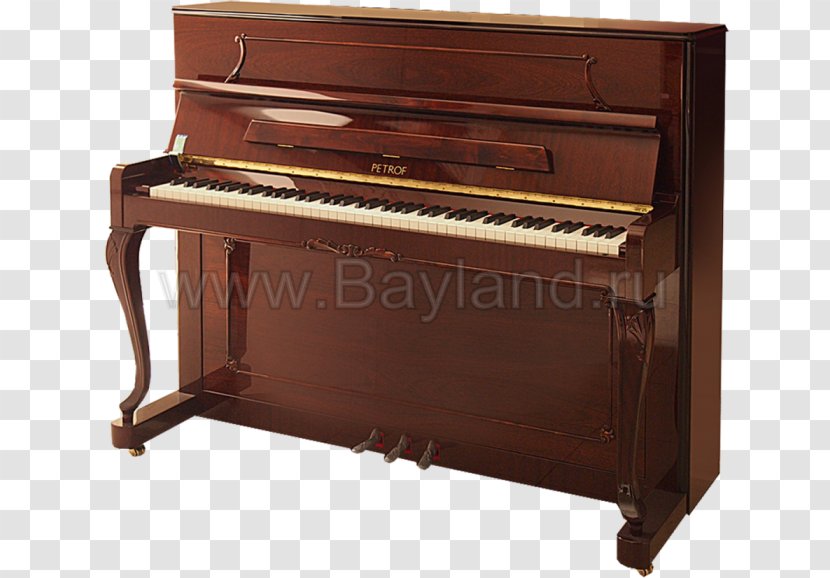 Upright Piano Steinway & Sons Blüthner Musical Instruments - Tree Transparent PNG