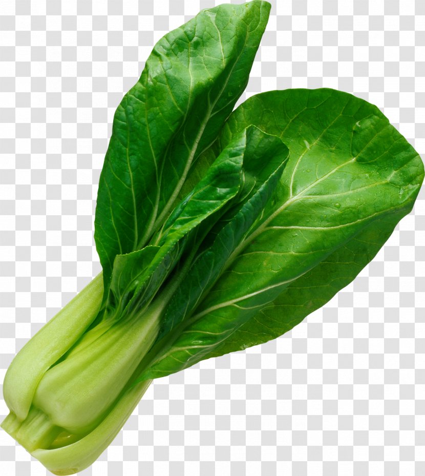Choy Sum Chinese Cabbage Leaf Vegetable Food - Eating - Broccoli Transparent PNG