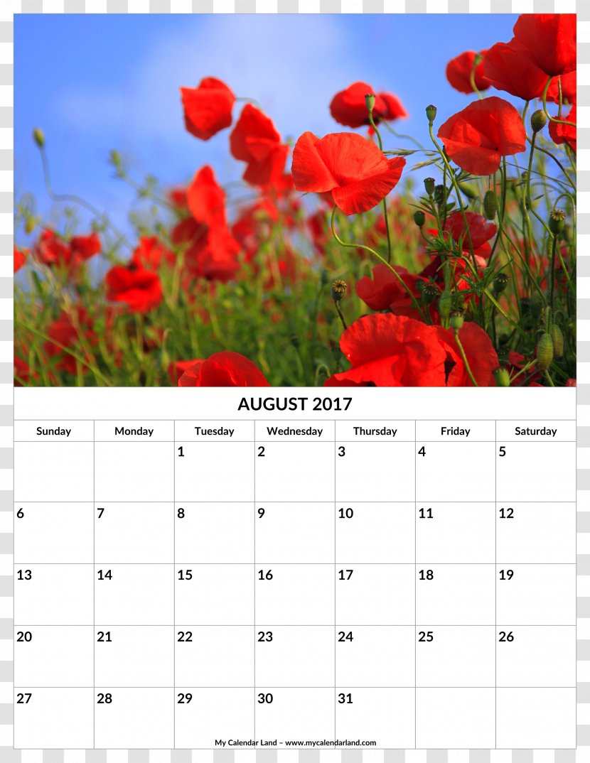 Poppy Calendar Nature 0 1 - 2017 - Flower Rattan Template Transparent PNG