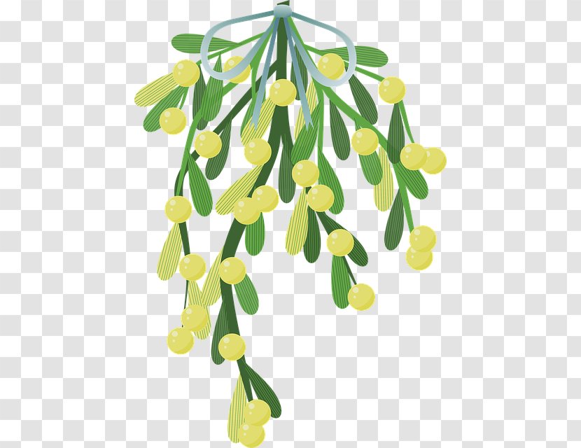 Mistletoe Halbschmarotzer Christmas Parasitic Plant - Yellow Transparent PNG