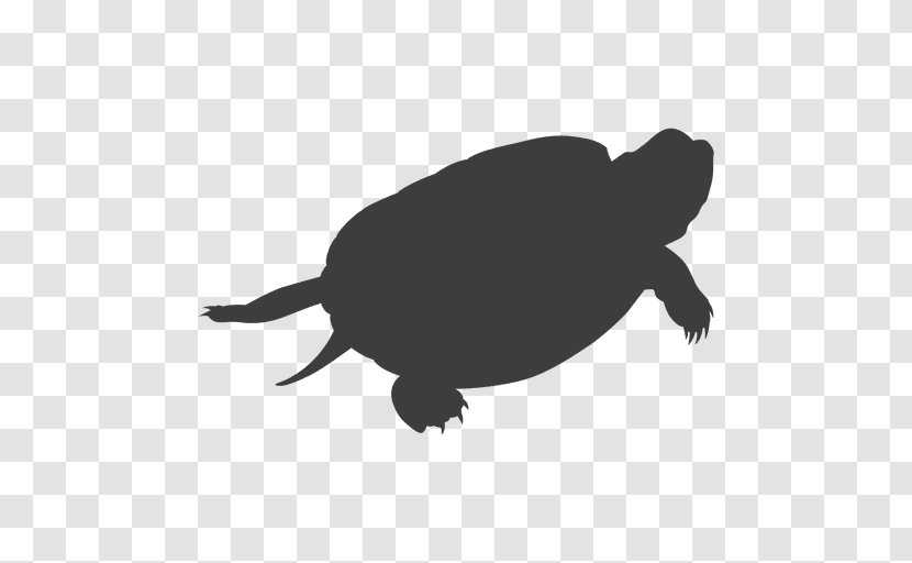 Sea Turtle Tortoise Silhouette Transparent PNG