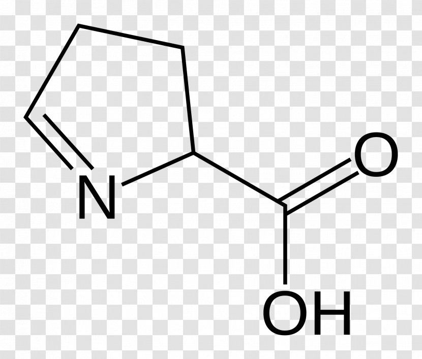 1-Pyrroline-5-carboxylic Acid Amino Amine - Pyrroline Transparent PNG