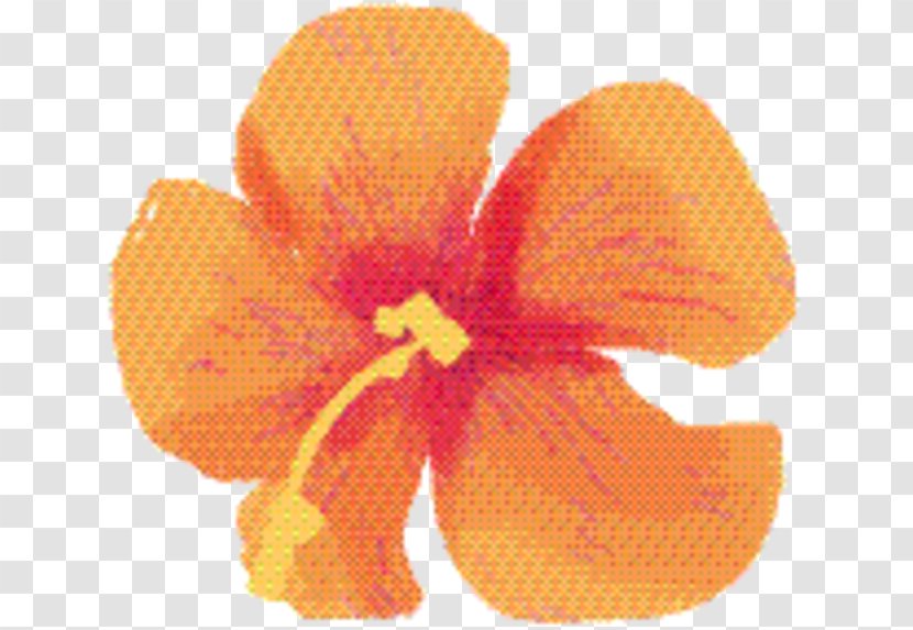 Orange Flower - Iris - Flowering Plant Transparent PNG