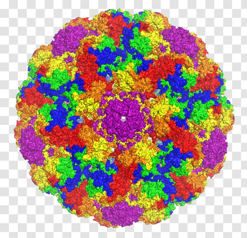Major Capsid Protein VP1 Murine Polyomavirus Pentamer - Polyomaviridae - Norwalk Virus Transparent PNG