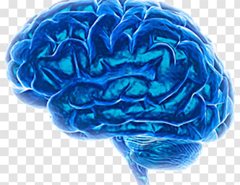 Alzheimer's Disease Pharmaceutical Drug Dementia Diagnostic And Statistical Manual Of Mental Disorders - Frame - Brain Transparent PNG