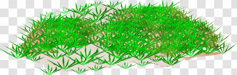 Green Grass Lawn Artificial Turf Plant - Family Transparent PNG