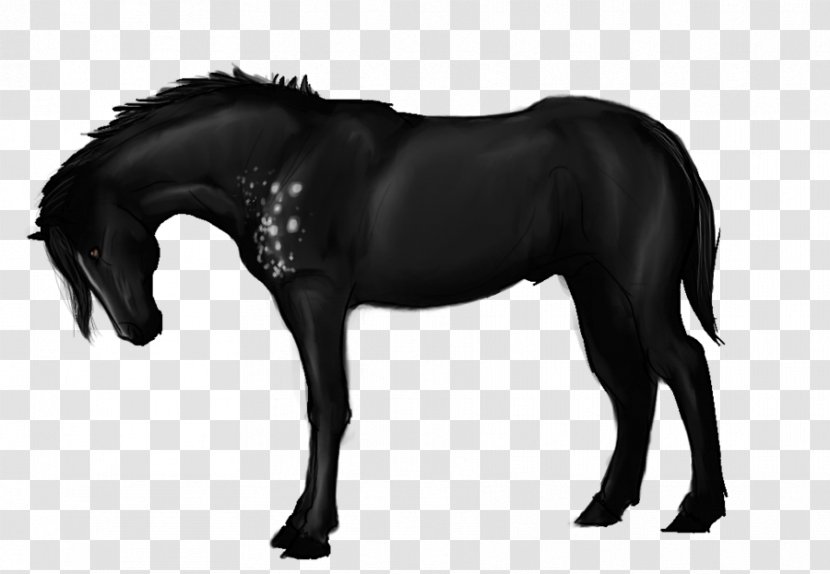 Mane Mustang Stallion Pony Halter - Snout - Natural Selection Transparent PNG
