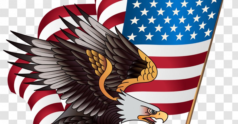 Bald Eagle United States American Outfitters Clip Art - Can Stock Photo Transparent PNG