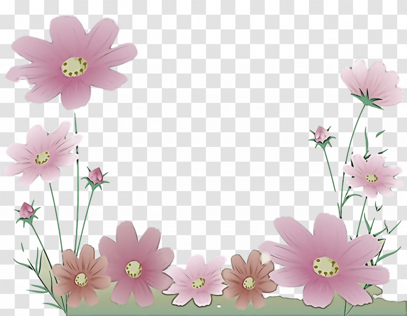 Floral Design Transparent PNG