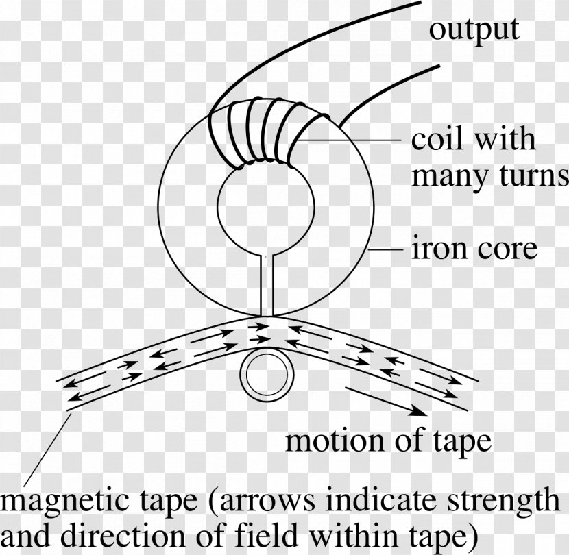 Electromagnetic Induction Electromagnetism Electricity Faraday's Law Of Voltage - Tree - Magnetic Tape Transparent PNG