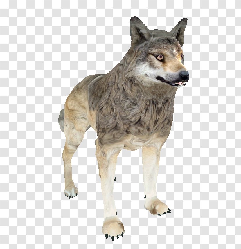 Shivering Isles Saarloos Wolfdog Czechoslovakian The Elder Scrolls III: Morrowind Coyote - Fur - White Wolf Transparent PNG
