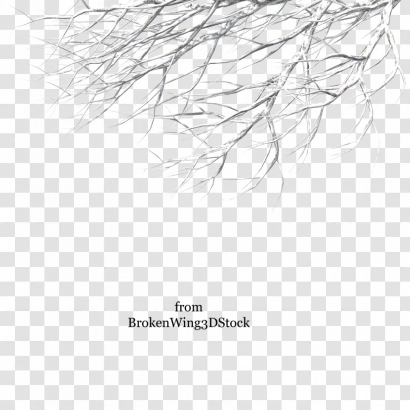 Branch Tree Trunk Winter Clip Art - Twig - Snowy Transparent PNG
