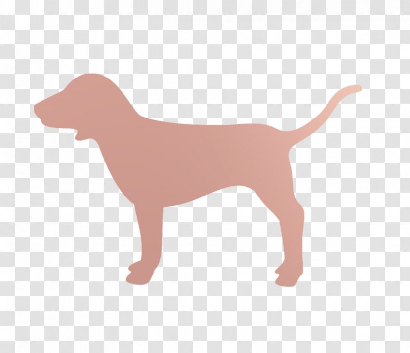 Pink Victoria's Secret Fashion Show 2013 Logo Dog - Companion - Claw No Button Png Transparent PNG