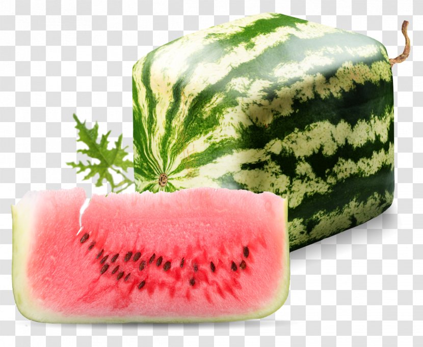 Square Watermelon Seed - Cucumber Gourd And Melon Family Transparent PNG